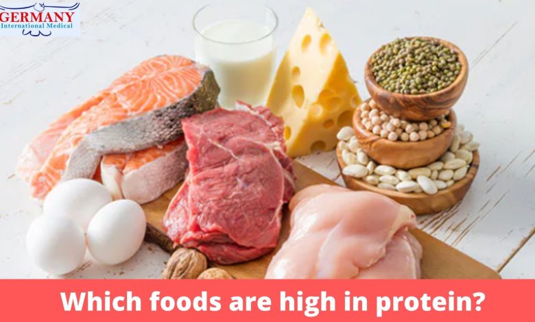 Which foods are high in protein?