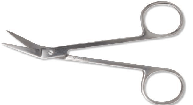 Ring Scissors Stainless Steel